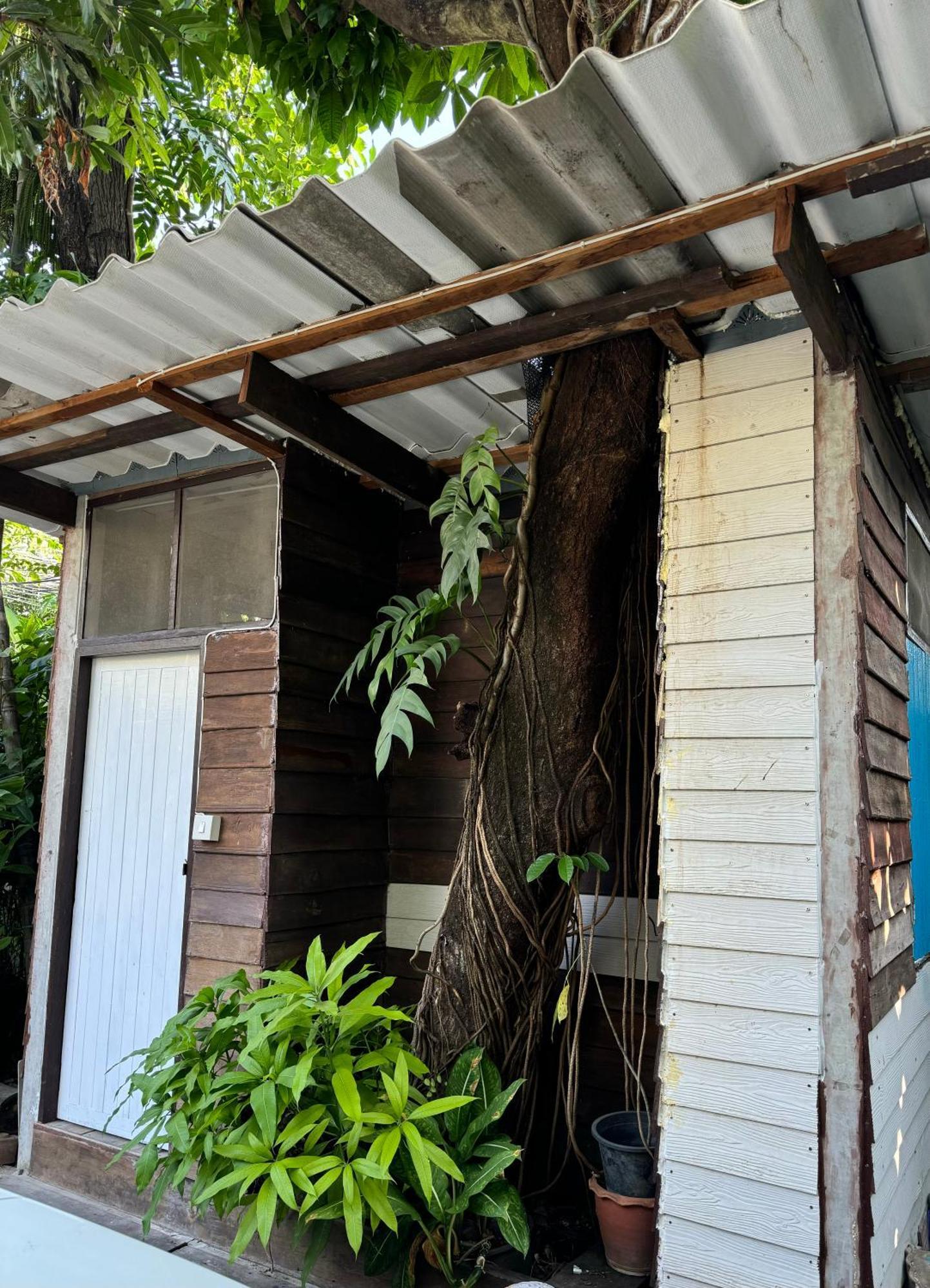 Ferienwohnung Many Trees Bangkok Exterior foto